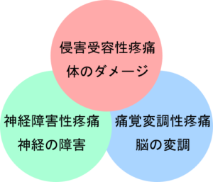 侵害受容性疼痛・神経障害性疼痛・痛覚変調性疼痛